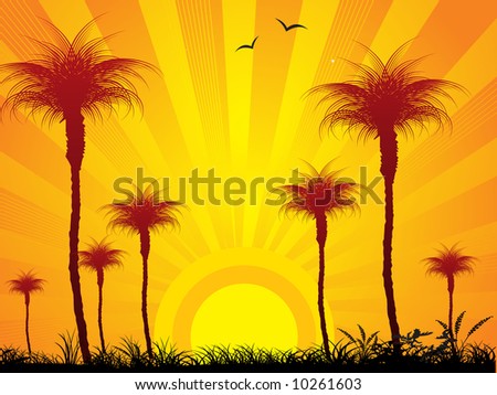 view of sunrise vector illustration