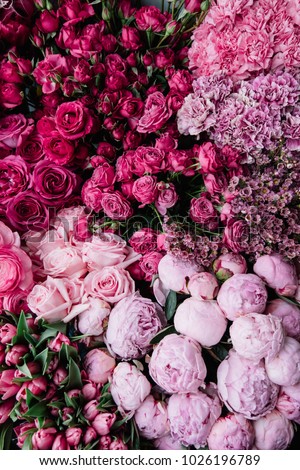 Beautiful fresh blossoming flowers texture at the florist shop in ombre color from magenta pink to pastel pink: ranunculus, peonies, roses, tulips, carnations, top view, flat lay  Royalty-Free Stock Photo #1026196789