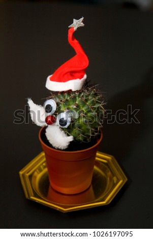 Cactus Santa Claus with red cap