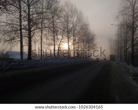 fog trees twilight road