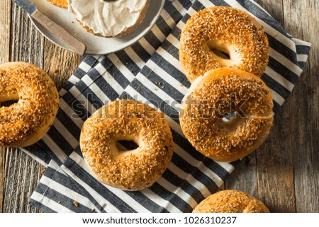 Round Warm Everything Bagels Ready to Eat Royalty-Free Stock Photo #1026310237