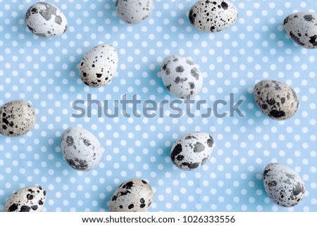 Quail eggs on dotted fabric background