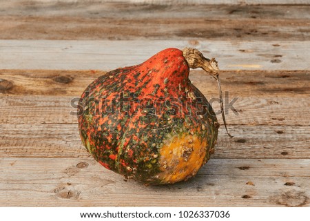 Pumpkin on the table