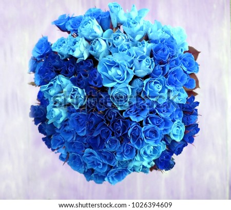 An overhead view of a bunch of 80 blue roses in a circular shape, a light wood background