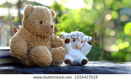 The couple of bears hugged each other in the evening.with stack of books.Education themes