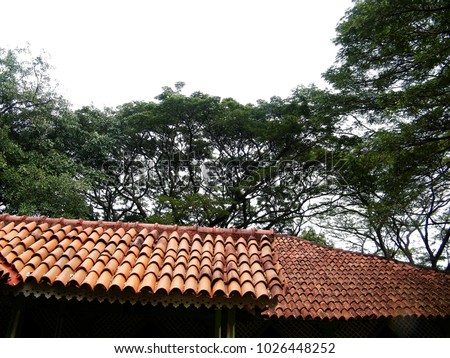 Old "Sinhala Ulu" type roof in Sri Lanka. Clay type roof tiles