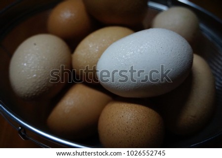 Fresh, wet and raw chicken eggs with assorted colors are in a container with dark brown wooden background, for cooking and Easter holiday decoration in a family.