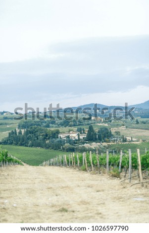 beautiful landscape of Tuscany Italy vineyards at sunset