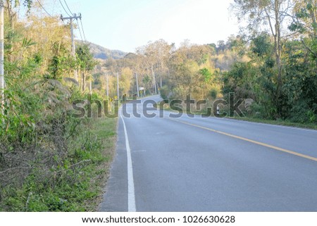 Road passes through forest. 