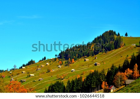 Autumn landscape in Moieciu de Sus