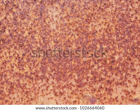 Close up of rusty, rusted, tin, metal sheet
