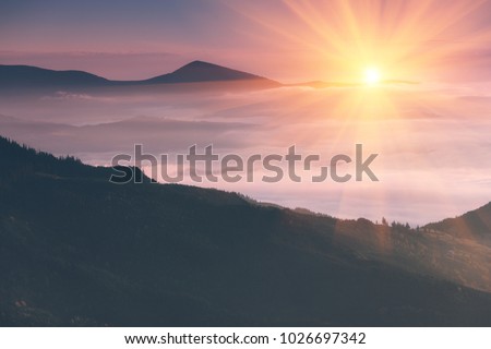 Beautiful landscape in the mountains at sunrise. View of  the foggy hills covered by forest. Retro effect. Traveling concept background. Royalty-Free Stock Photo #1026697342