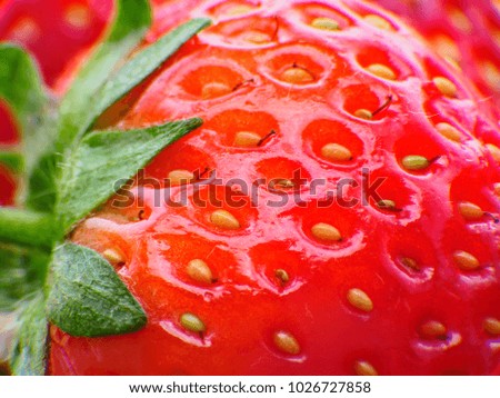 Extreme macro of strawberry texture Macro picture of strawberry texture