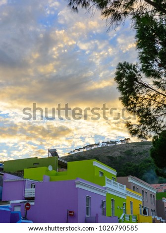 Colorful outdoor street and city photo of buildings in Bo Kaap, Cape Town, South Africa during sunset with a hill / mountain in the background and a pine in the foreground