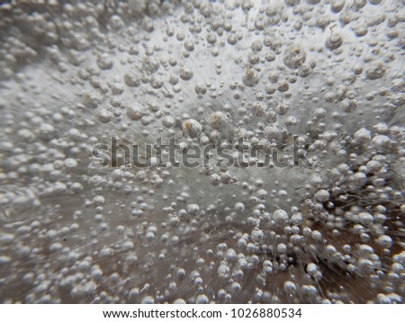 winter, air bubbles captured in ice
