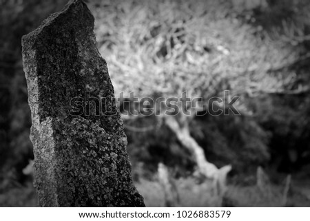 Black and white. Selective Focus. Motion Blur. Megalithic stone at open space