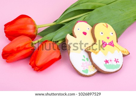 Easter gifts, sweet gingerbreads, flowers on pastel background. Studio Photo