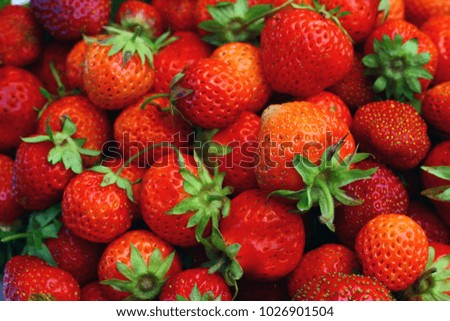 Fresh strawberry as background. Close up, top view