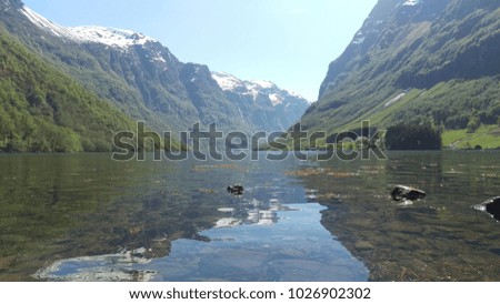 Snow capped mountains from sea level in Naeroyfjord, Sognefjord, Norway, Europe