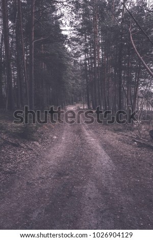 romantic gravel road in green tree forest with sunlight and shadows - vintage retro effect