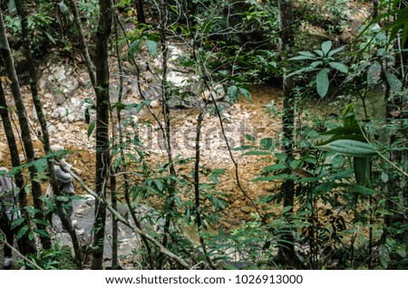 A river runs in between the woods on the background  of trees and plants