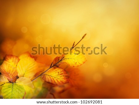 Colorful Autumn leaves background with bokeh lights Royalty-Free Stock Photo #102692081