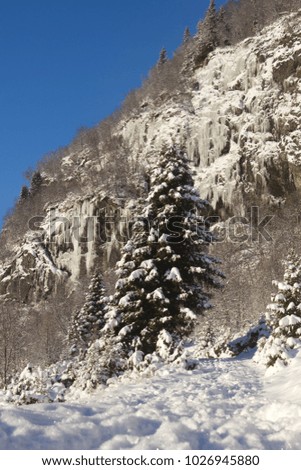 Beautiful winter norwegian landscape in mountains near Hemsedal ski resort Buskerud Norway