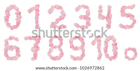 The figures consist of rose petals. Figures from pink petals.