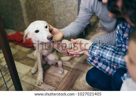 Happy family at animal shelter choosing a dog for adoption. Royalty-Free Stock Photo #1027021405