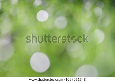 Royalty high quality free stock image of  bokeh leaf. Defocus of green leaf on tree. Abstract nature background and beautiful wallpaper. Soft focus light on view leaves flare
