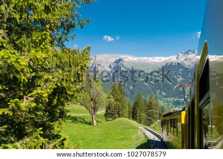 Spectacular view of Greendeltwald valley in the Bernese Alps, Switzerland Royalty-Free Stock Photo #1027078579