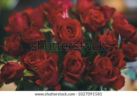 Bouquet of roses on Valentine's Day.This picture is soft focus.This picture is blurry blurred.