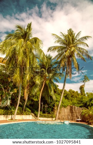 high, beautiful palm trees rostut poolside, around a luxury hotel. tropics, asia much sun