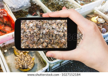 travel concept - tourist photographs mollusks on Huangsha Aquatic Product Trading Market in Guangzhou city in China in spring season on smartphone