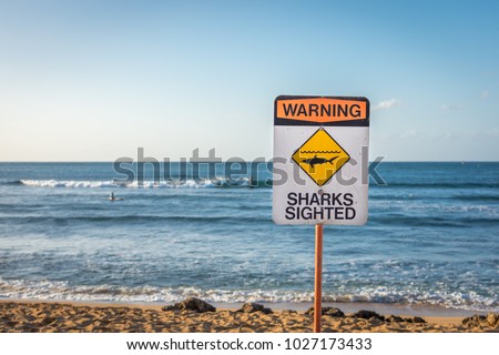 A warning sign indicating sharks have been sighted in the water at Ali’i Beach in Haleiwa, on the North Shore of Oahu, Hawaii.