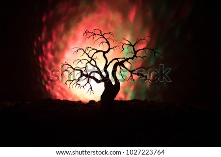 Silhouette of scary Halloween tree on dark foggy toned background with moon on back side. Scary horror tree