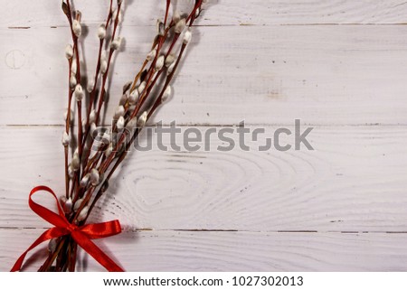 Pussy willow twigs on white wooden background. Top view, copy space