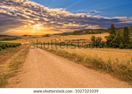 Sunset on the road to Santiago in Navarra, Spain Royalty-Free Stock Photo #1027321039
