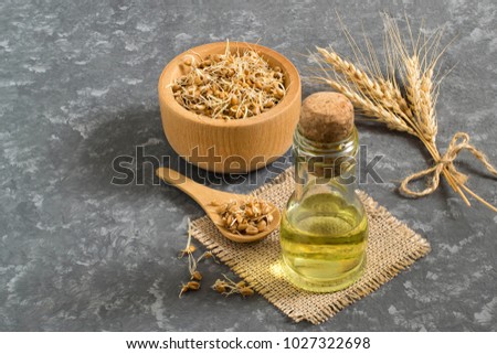 Fresh sprouted wheat seeds in bowl and spoon, ears, wheat germ oil in bottle. Source of vitamins and micronutrients, has general strengthening, immunostimulating, antibacterial, antioxidant properties Royalty-Free Stock Photo #1027322698