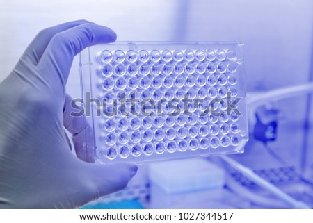 Screening the cell cytotoxicity by MTT assay in 96well plate. Mtt is used to study the cell viability measure of cellular activity as an indicator of cell damage or cytotoxicity. Royalty-Free Stock Photo #1027344517