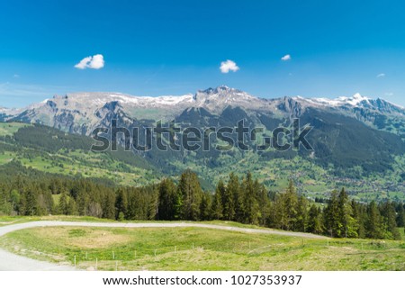 Spectacular view of Greendeltwald valley in the Bernese Alps, Switzerland Royalty-Free Stock Photo #1027353937