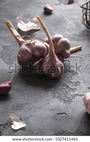 Organic garlic whole and clover on the concrete background. Vert