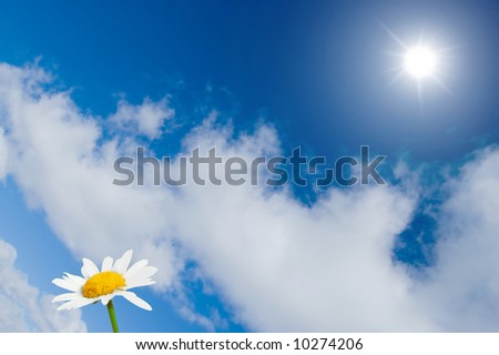 beautiful blue sunny sky background