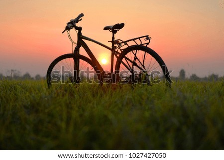 Bicycle in the grass field and sunset orange, purple color background