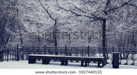 A snowy day. Empty bench in the park. Winter scene. Aged photo. Snow covered trees in the woods. Winter in Russia. Wide format.