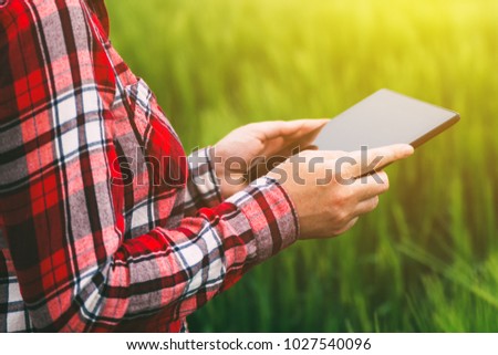 Female farmer using tablet computer in wheat crop field, concept of modern smart farming by using electronics, technology and mobile apps in agricultural production