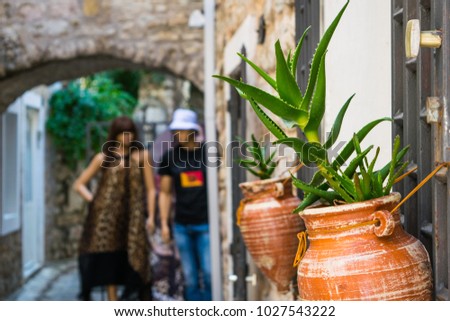 Plant aloe vera attached to the window bars. Passage with flowerpots in the old city in Budva, Montenegro.  Royalty-Free Stock Photo #1027543222