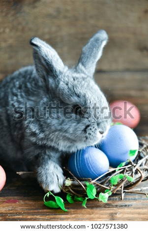 Grey Bunny, Rabbit And Easter Eggs, On Natural Wooden Background-Mock Up For Holiday Easter Card, Background