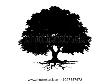 tree silhouette isolated on white background