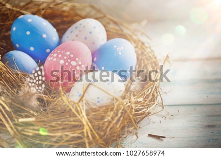 Beautiful Blue, Red and White Eggs in a White Polka-Dot is in a Grass Nest with Feathers in Speckles on a Wooden Background in the Sun Lights